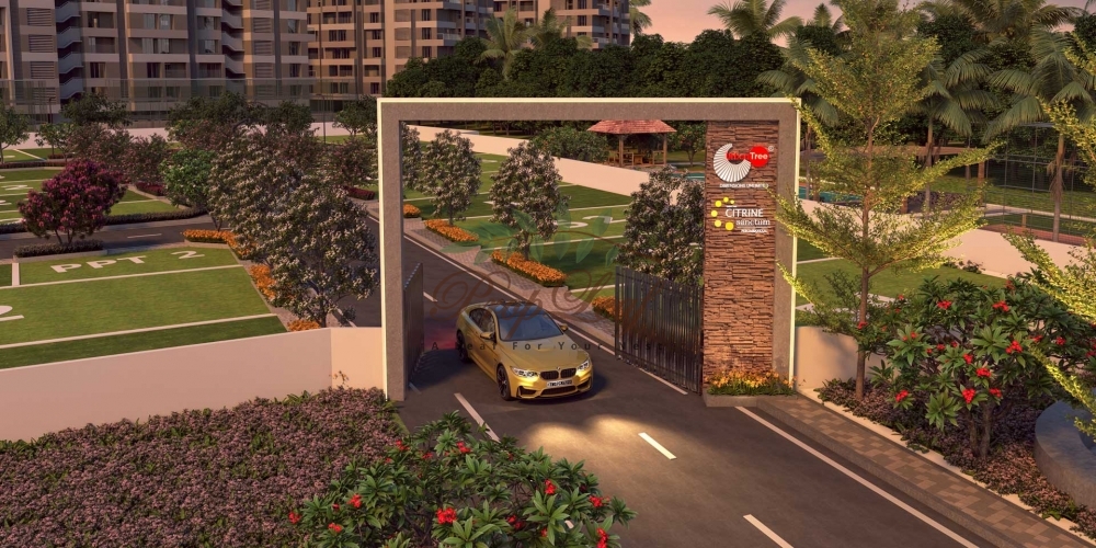 Urbantree Citrine Santaum