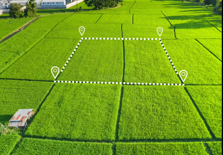 G Square Sands N Waves