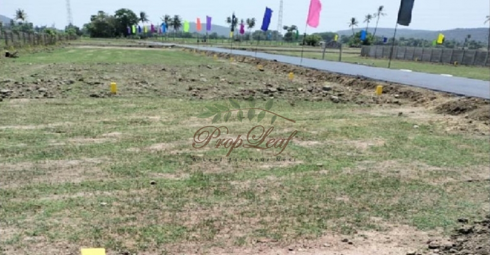  Amazze Shree Raksha Garden