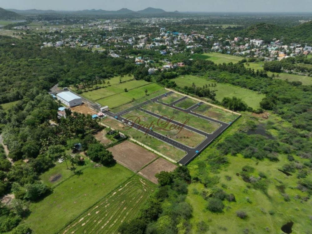  Home Scape Green City