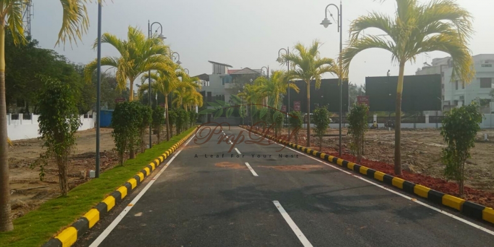 G Square The Bay Watch